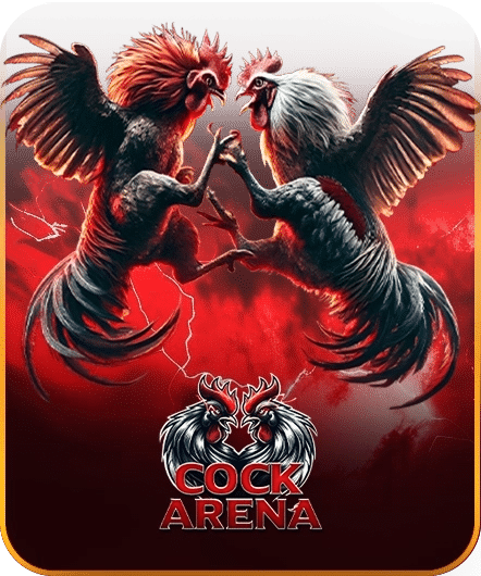 COCK ARENA